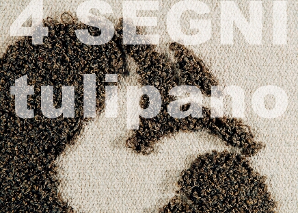 10. 4 segni, tulipano, mastice, nome